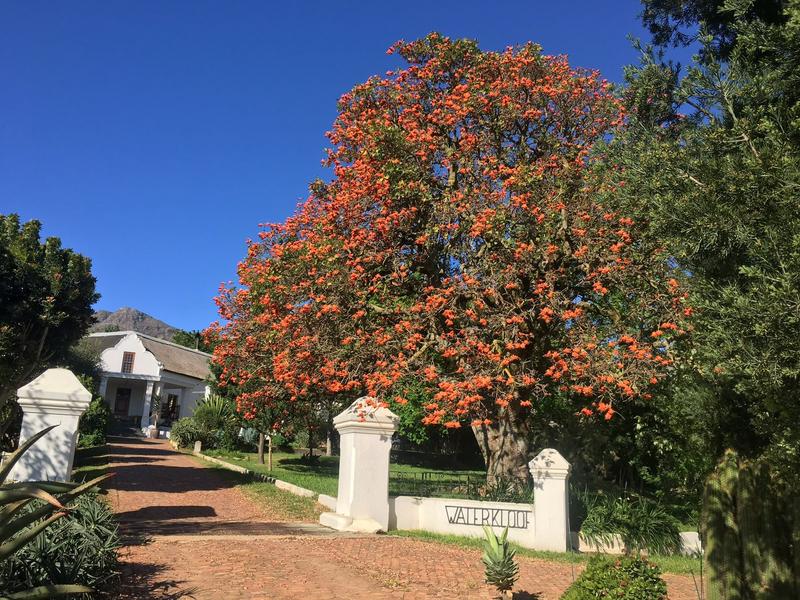 12 Bedroom Property for Sale in Paarl Western Cape